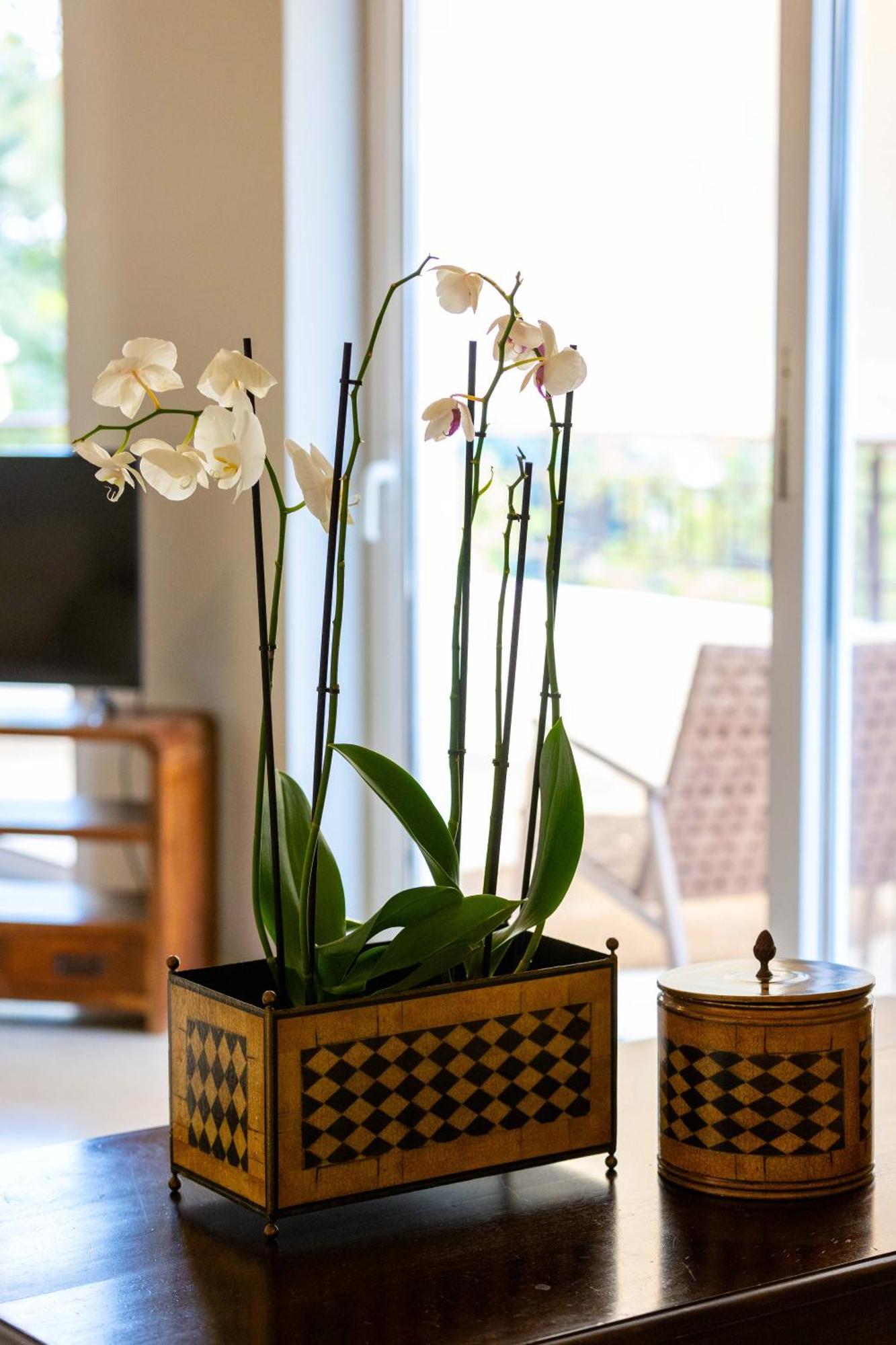 Villy'S Comfort Zone Apartments Kalamata Ngoại thất bức ảnh